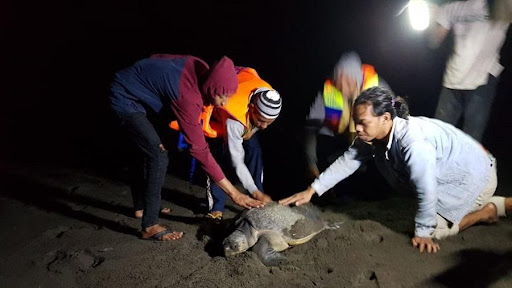 benihbaik_2021-11-15_187037fa893898234620ec030425aecf48587e6f_jpeg