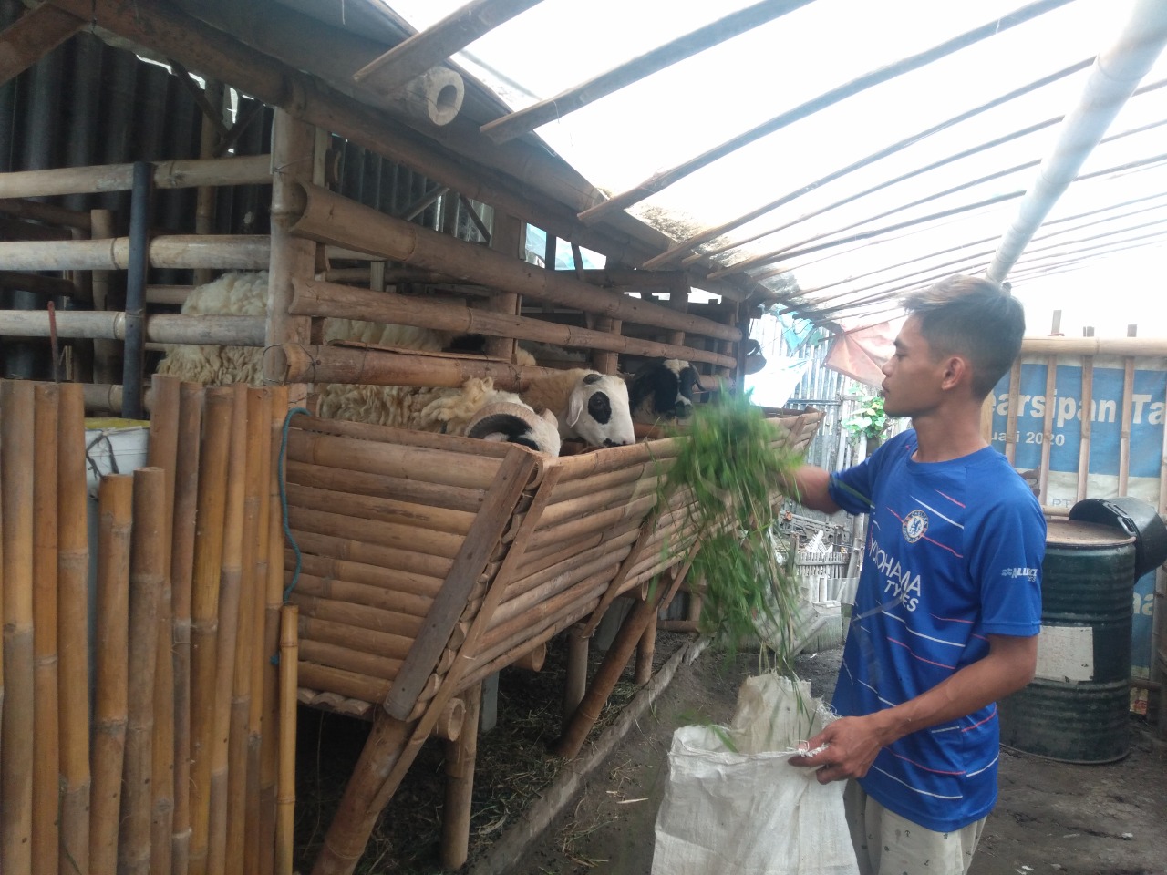 benihbaik_2021-11-19_1414b9ada6cec848b58d90db8aeb4ff871f2b3c9_jpeg