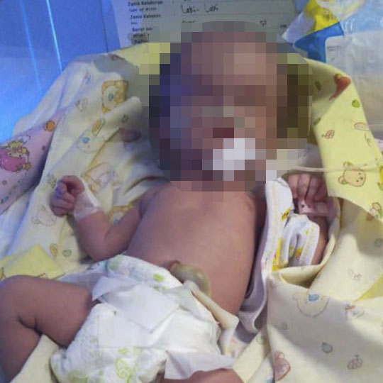 benihbaik_2021-11-25_277f537cf0321d50a6f546bbe41f93cba2cfa293_jpeg