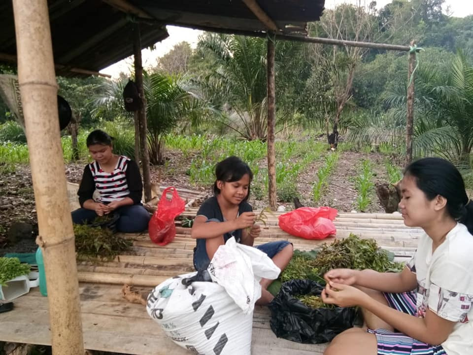 benihbaik_2021-11-30_f2c28488ec904eb35c43dad5ba4cec00a535a6b5_jpeg