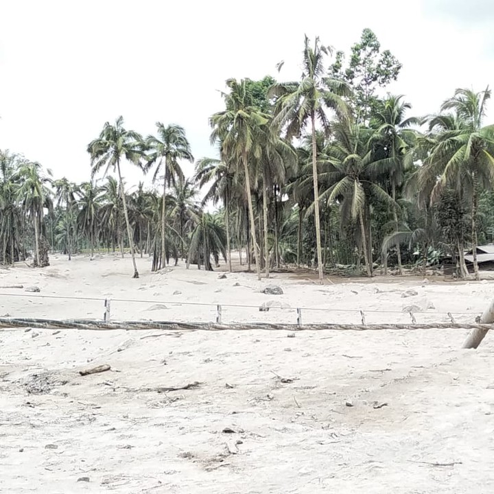 benihbaik_2021-12-05_9707b6c2fe2ccd0f180dadbe56c93552a90217ef_jpeg