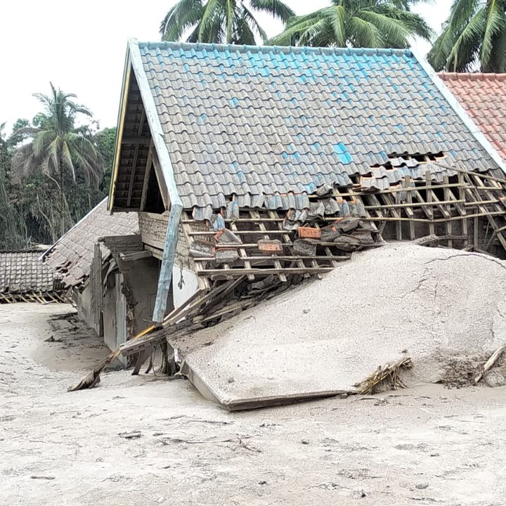 benihbaik_2021-12-05_a285e1150ae591cef1de3315467c69c96ad8496c_jpeg