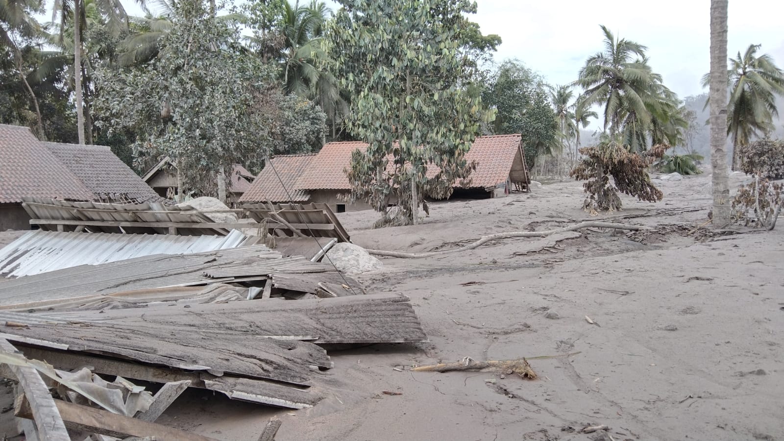 benihbaik_2021-12-06_1715a3abc1b1c68c957a66c9b97223a4aa45bc67_jpeg