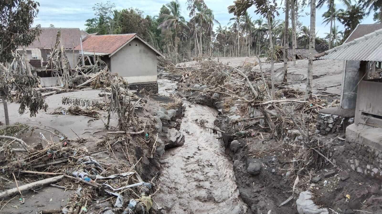 benihbaik_2021-12-06_da8ebd2b6023f6c6d49884f8eb1010df063b22d5_jpeg