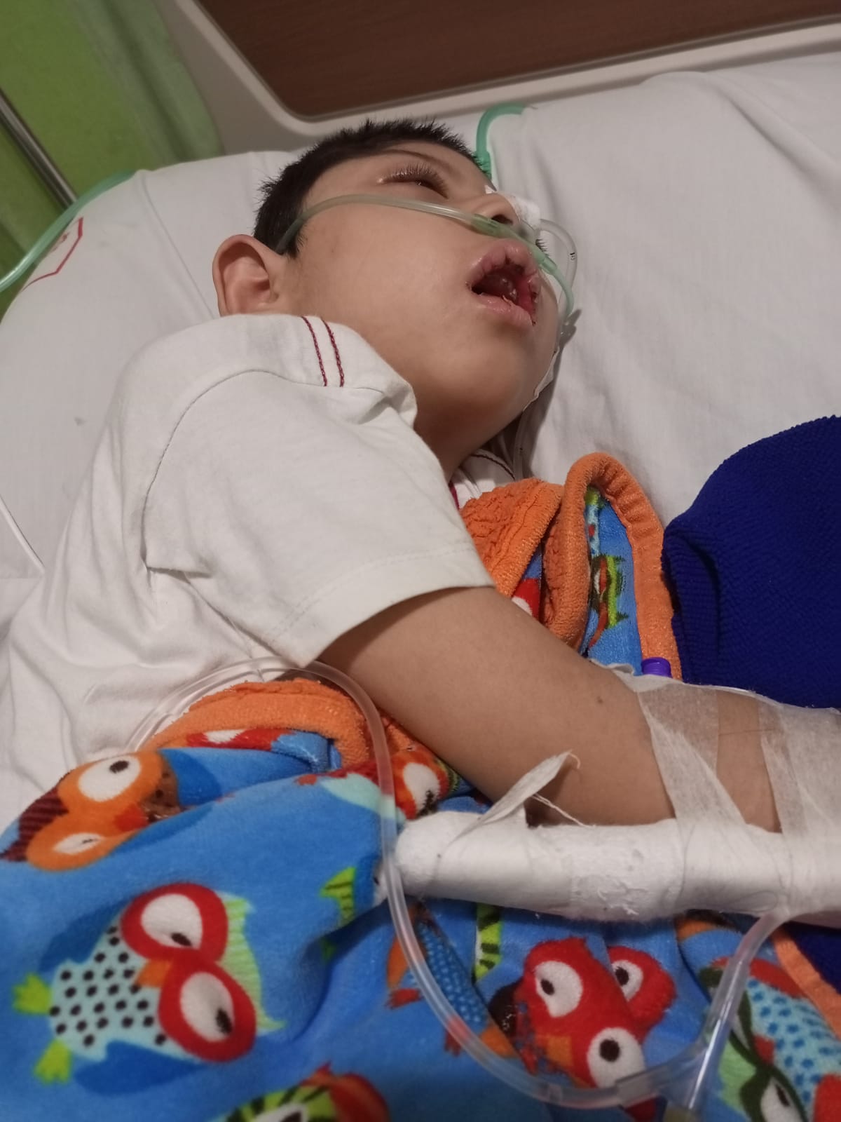 benihbaik_2021-12-16_4122274270a9f512fc20c84e6987eccd5caa4603_jpeg