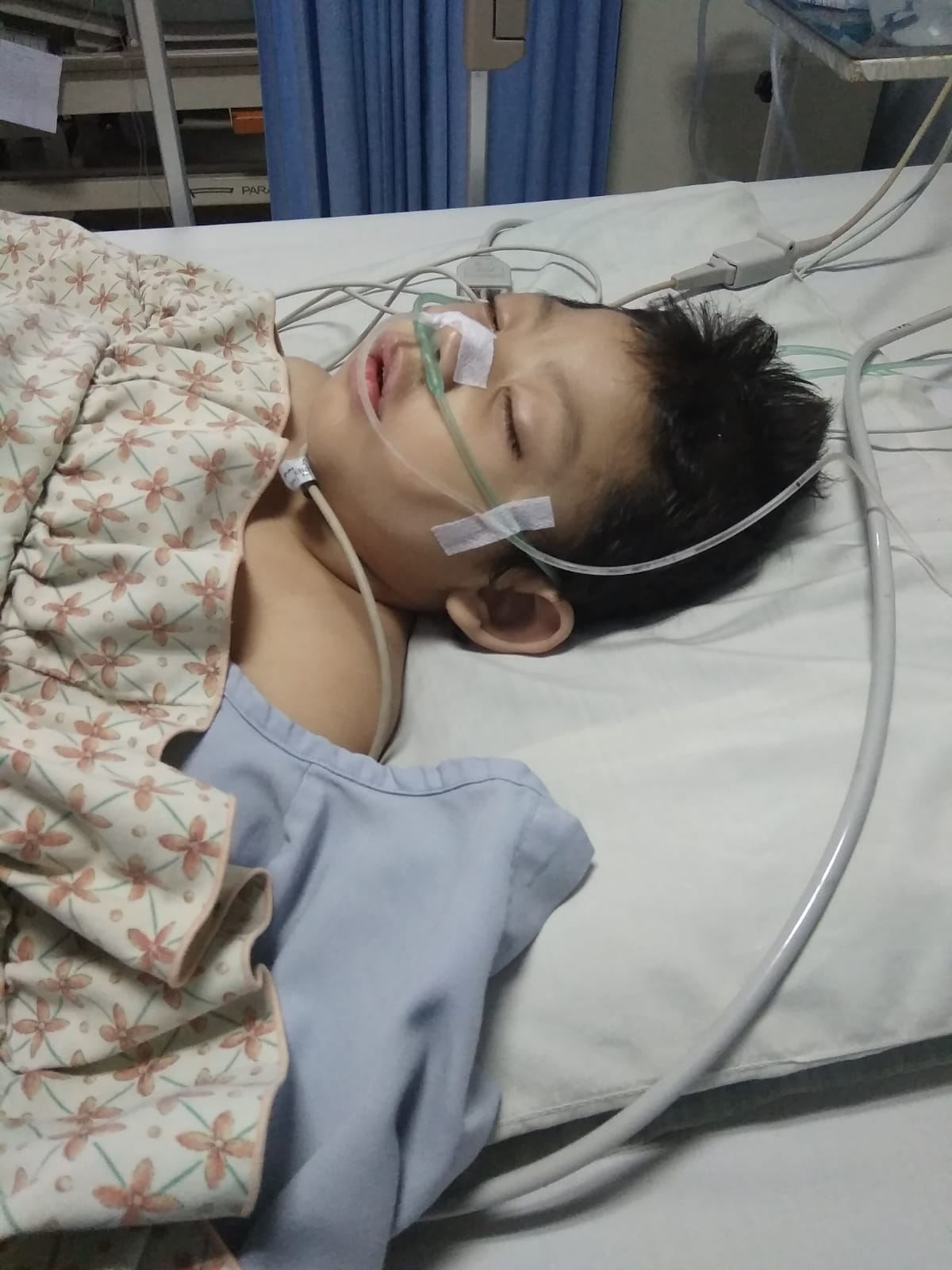 benihbaik_2021-12-16_604864f25616e2e9a538ea4d9d7c725d2f926eb9_jpeg