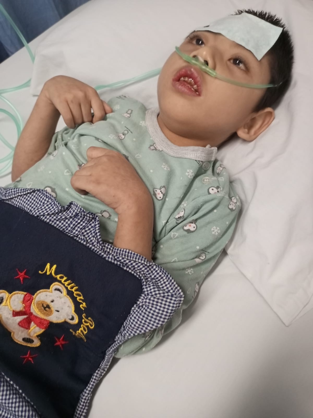 benihbaik_2021-12-16_a8278a9b200333ed7717df488ee39179e69da527_jpeg