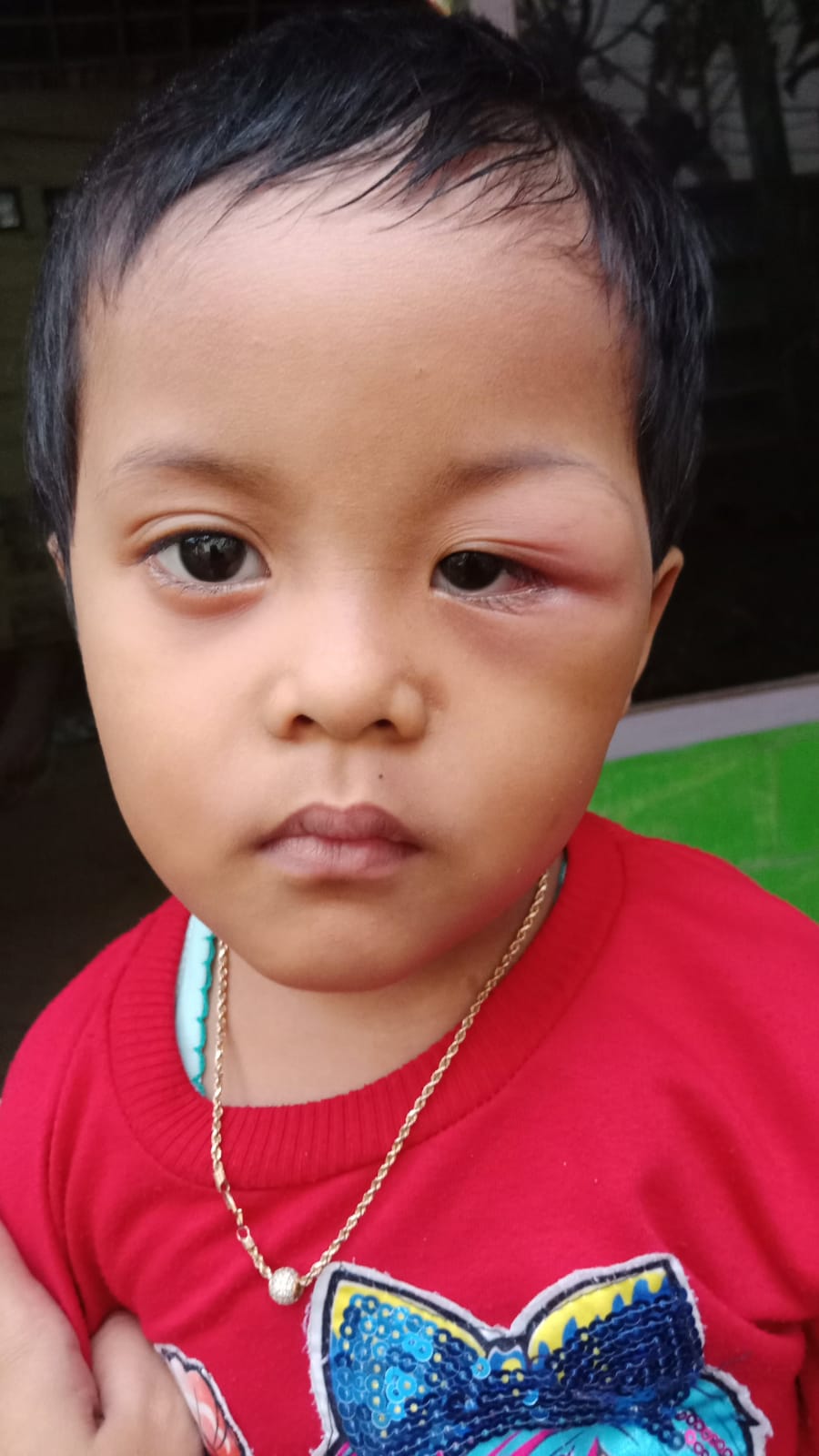 benihbaik_2021-12-17_8a709133d2f3b628e3b904d87946d7cee688a488_jpeg