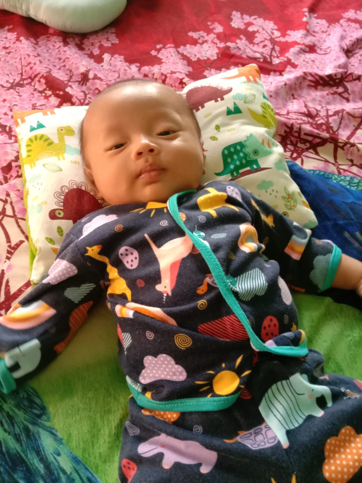 benihbaik_2021-12-21_30f3f27eebbe2720ccb8a615c2563b8c07835d80_jpeg