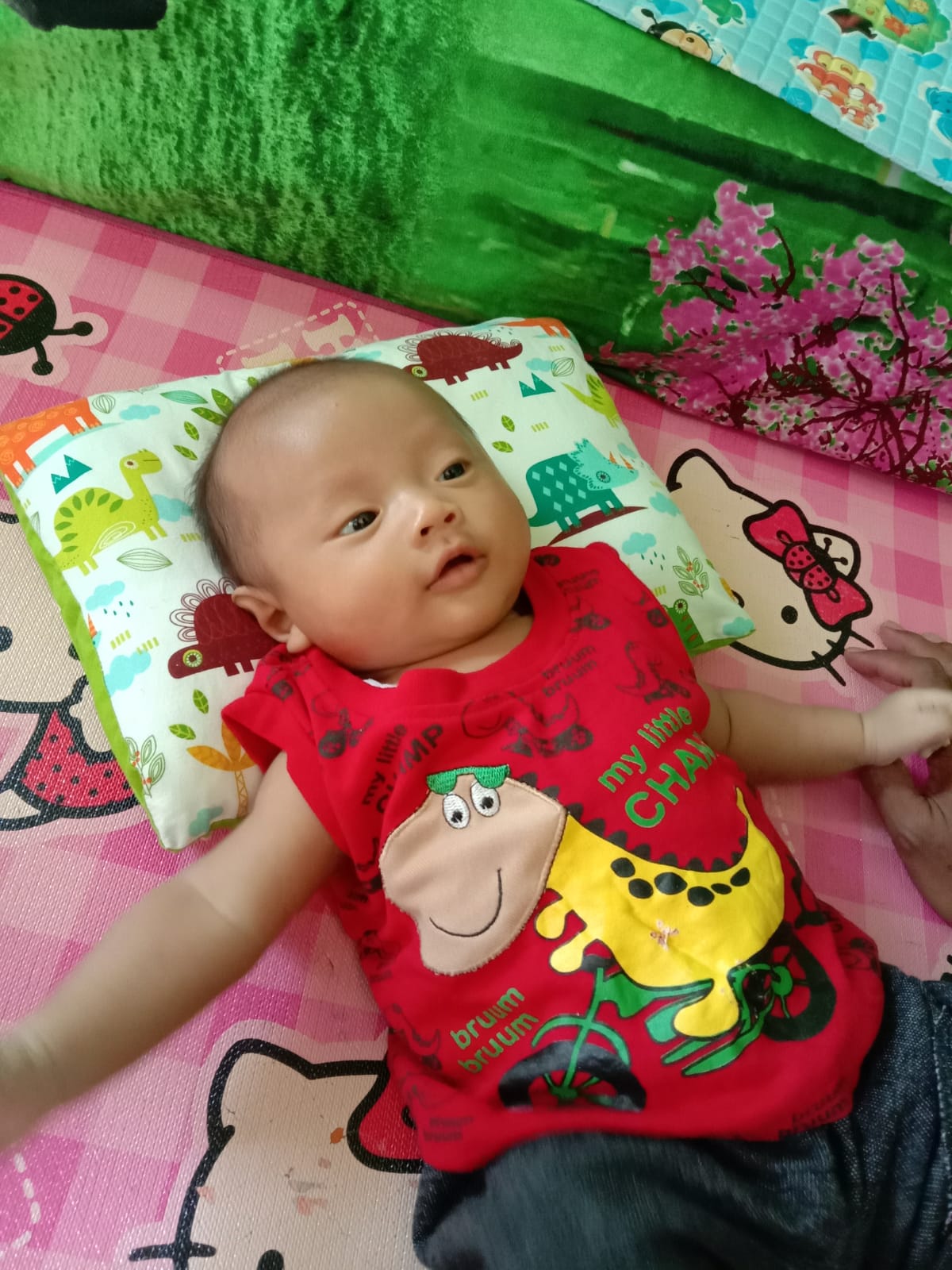 benihbaik_2021-12-21_73cda7c9d70e101acd7ea4b1abc5594656e2d167_jpeg