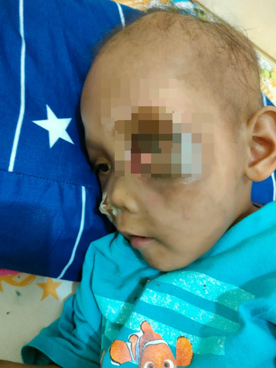 benihbaik_2021-12-28_40b891f51ce78a6634bdb1d499a777dd6f8a9bb6_jpeg