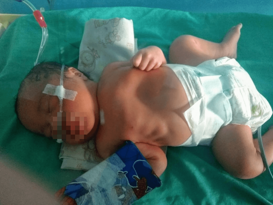 benihbaik_2021-12-28_80643d950d77d10052e0613dfe5342b32e5411a4_png