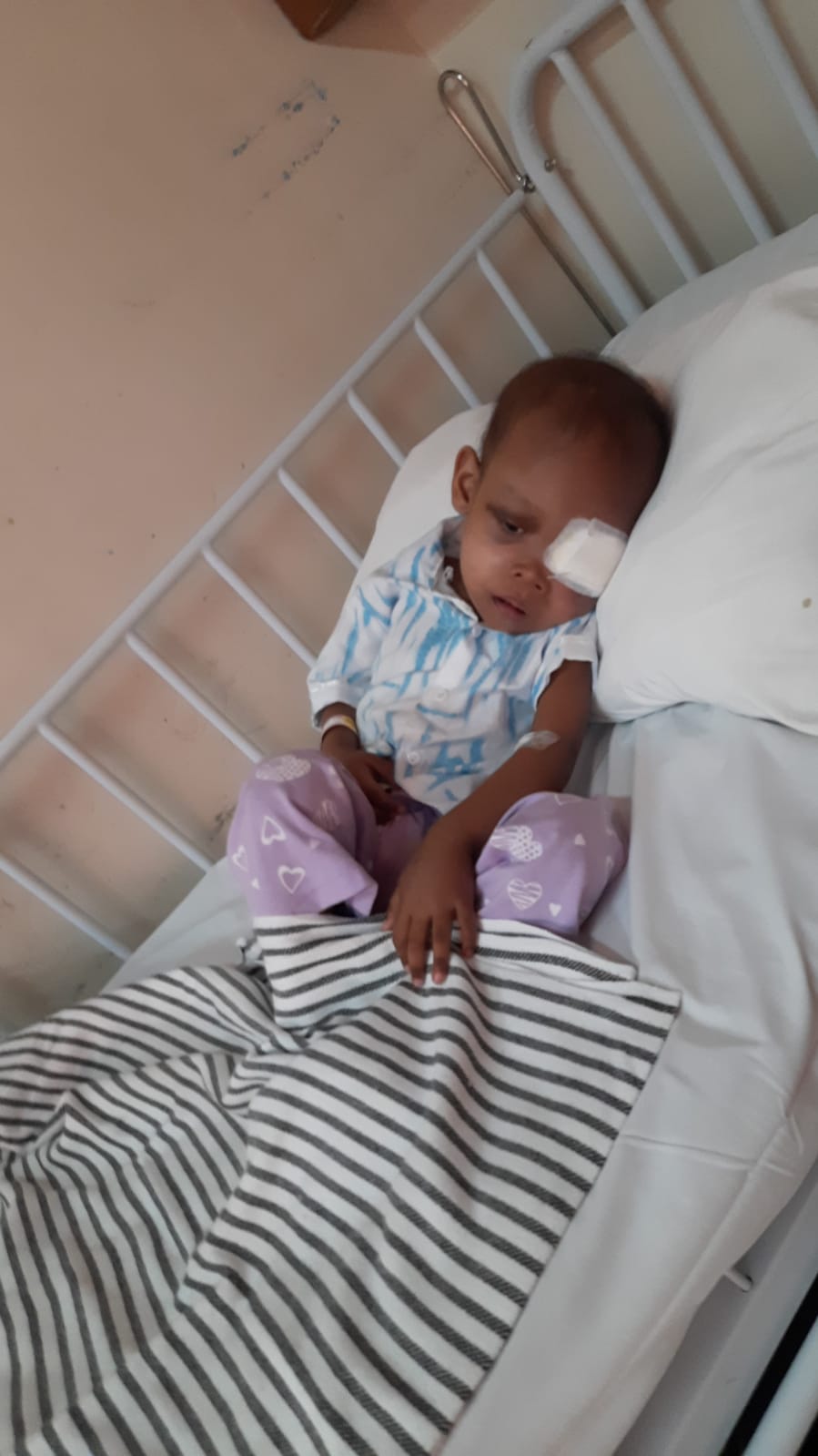 benihbaik_2021-12-28_b06e9726ca066c7866eb4c070ab91a8c215d05a9_jpeg