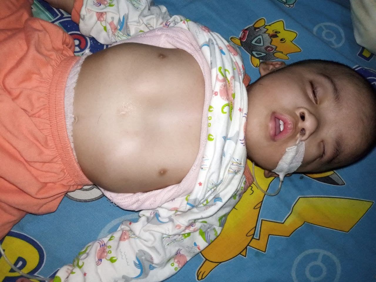 benihbaik_2022-01-05_7be89dc00f7f94ad64e93acfec27e482ba23a797_jpeg