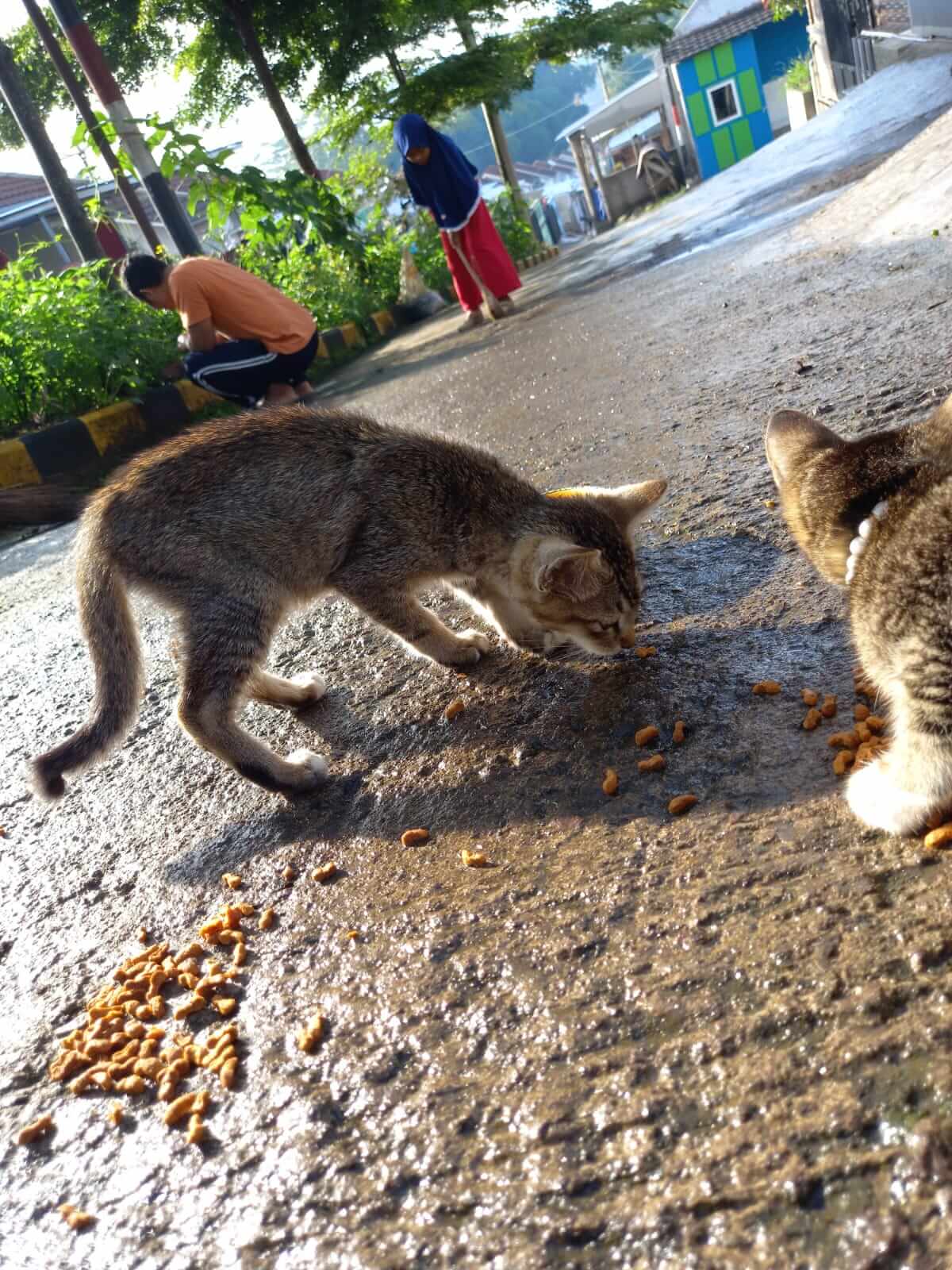 benihbaik_2022-01-07_8534c7be6da78d180e1ef3ba9136fead89a37867_jpeg