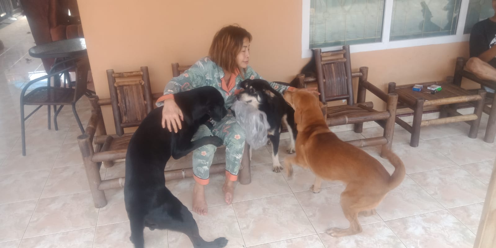 benihbaik_2022-01-11_2819d05b4573c9be01694fae191366c6717e996e_jpeg