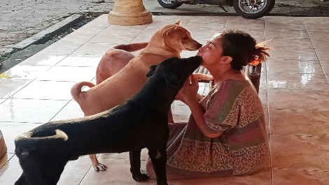 benihbaik_2022-01-11_7ce88a06300c4443275eb80ca7b9dbe20c8bb5c6_png