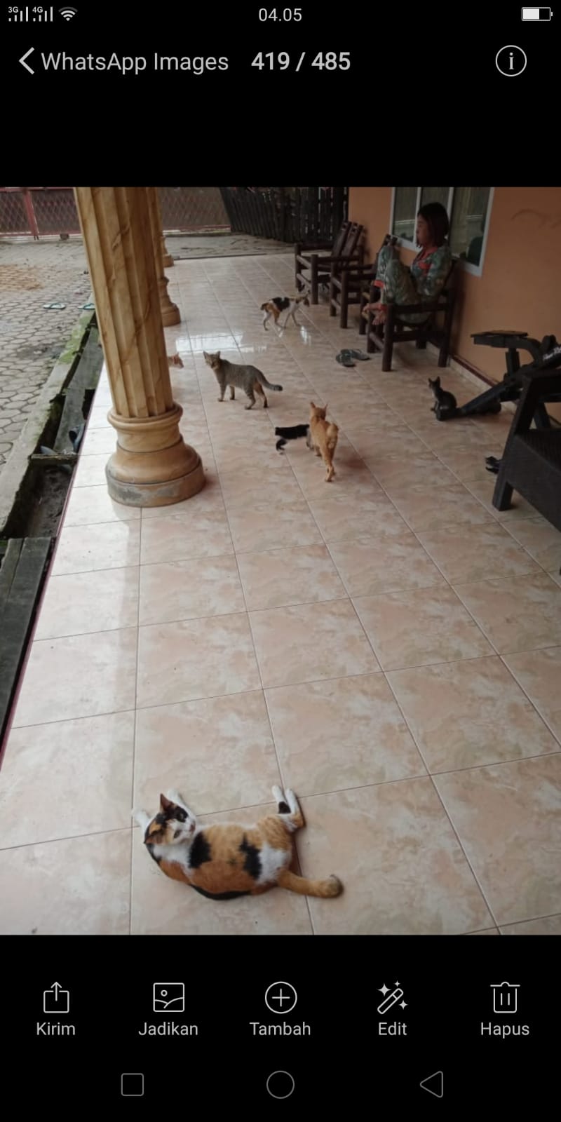 benihbaik_2022-01-11_c09770c00deba745feada073b7bb082c60029329_jpeg