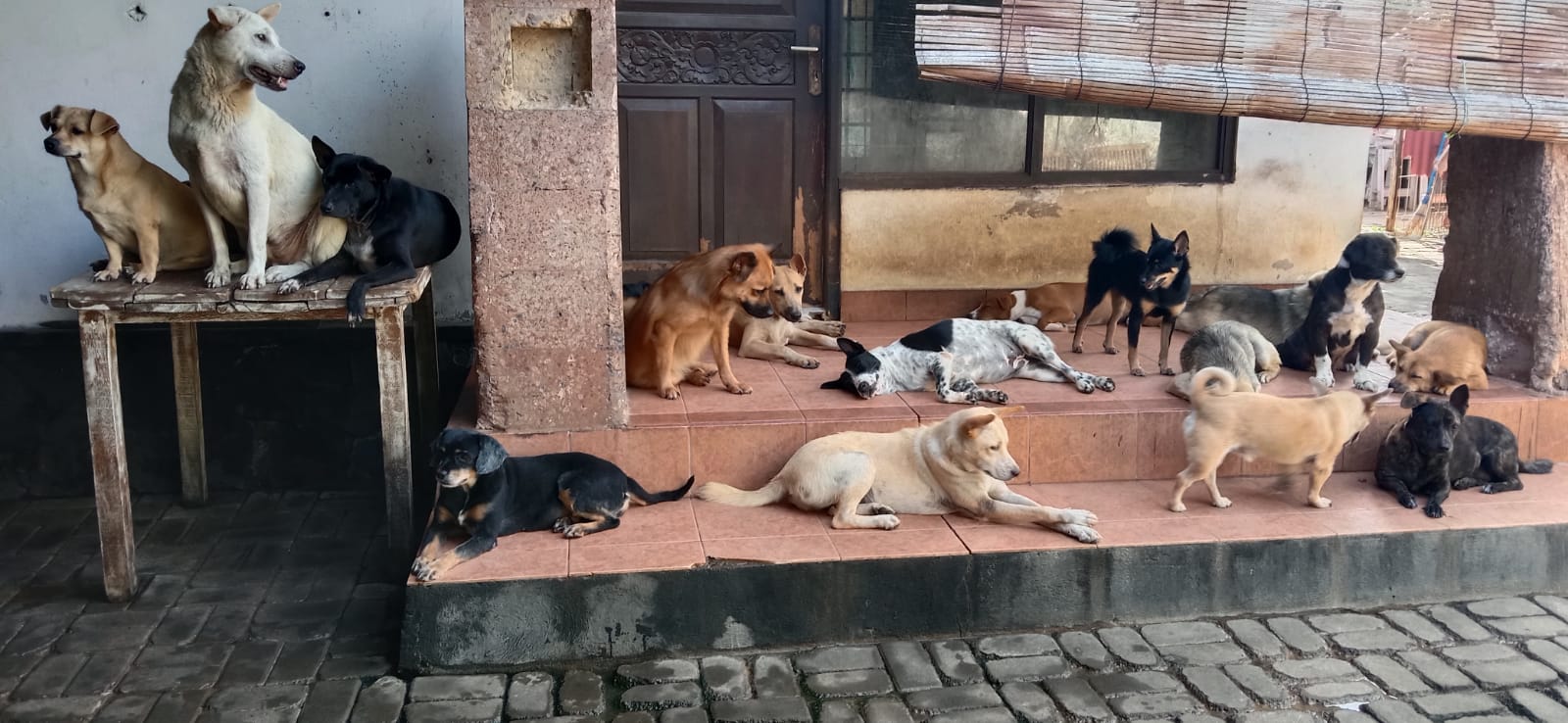 benihbaik_2022-01-12_8b4ebff6418920f32e6d9046a36a8a23c6d2c730_jpeg