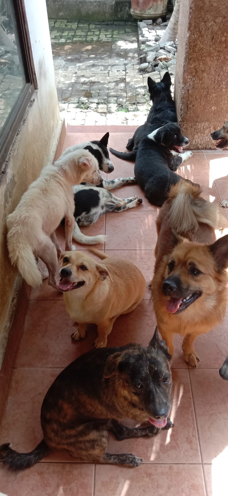 benihbaik_2022-01-12_a6fc6ef13496ba6423f13f7e5707568a0a81ba8a_jpeg