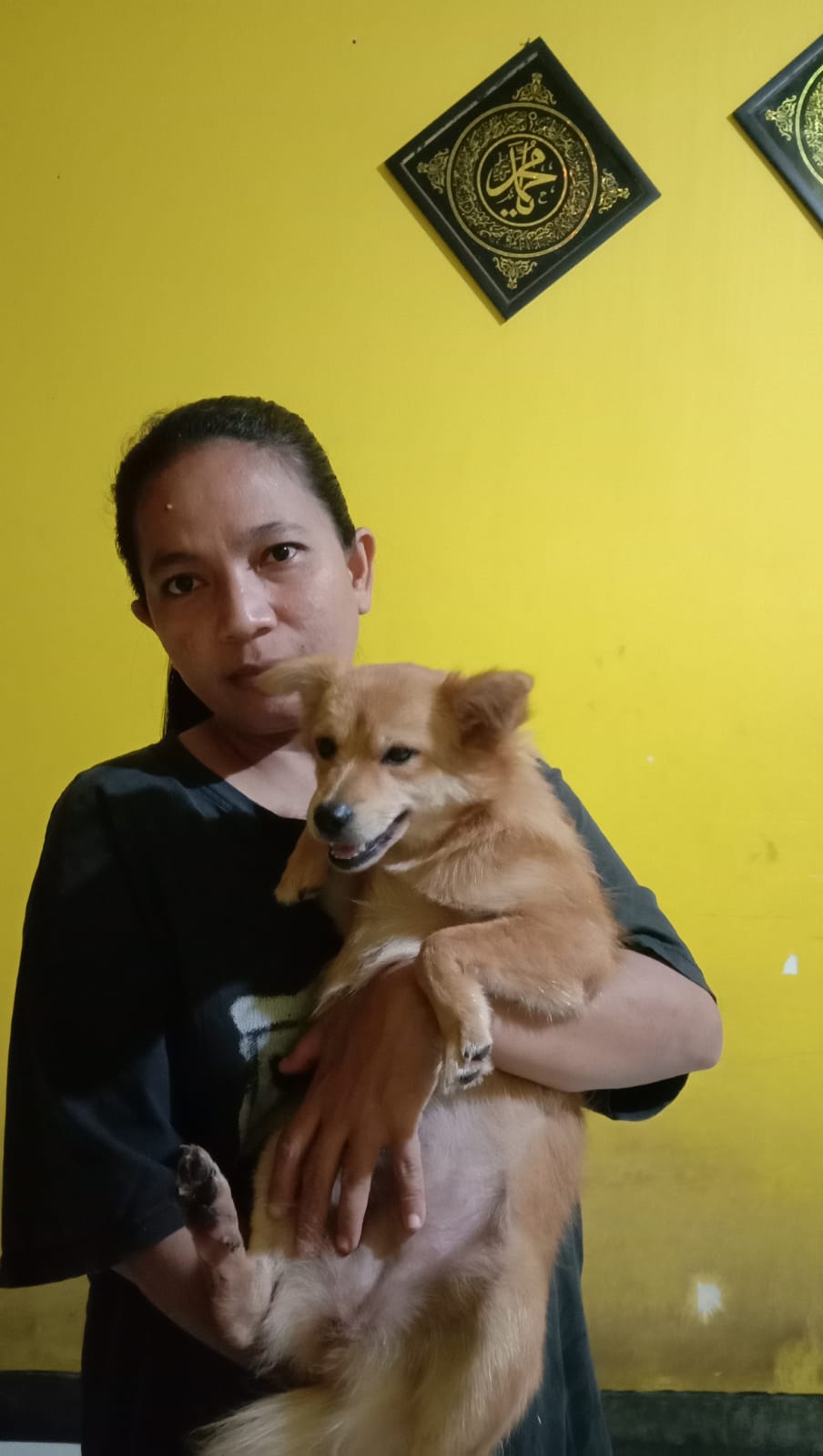 benihbaik_2022-01-12_a84bf6853e61167cdce7fd8be0596ed9ee743d30_jpeg