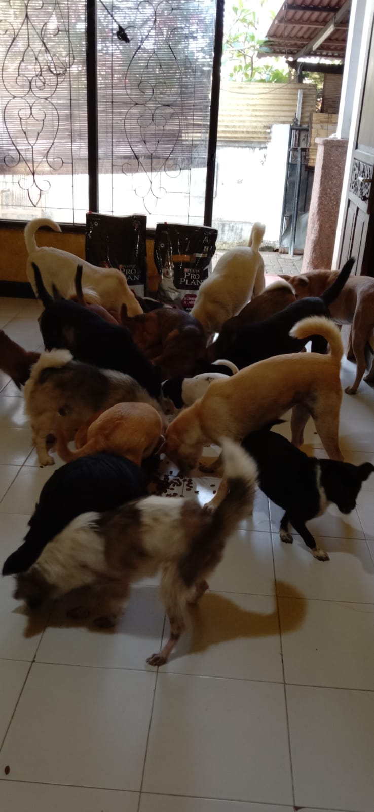 benihbaik_2022-01-12_dae0f268e1377b6f0e4f74c24e1c2c8e65ad1c21_jpeg