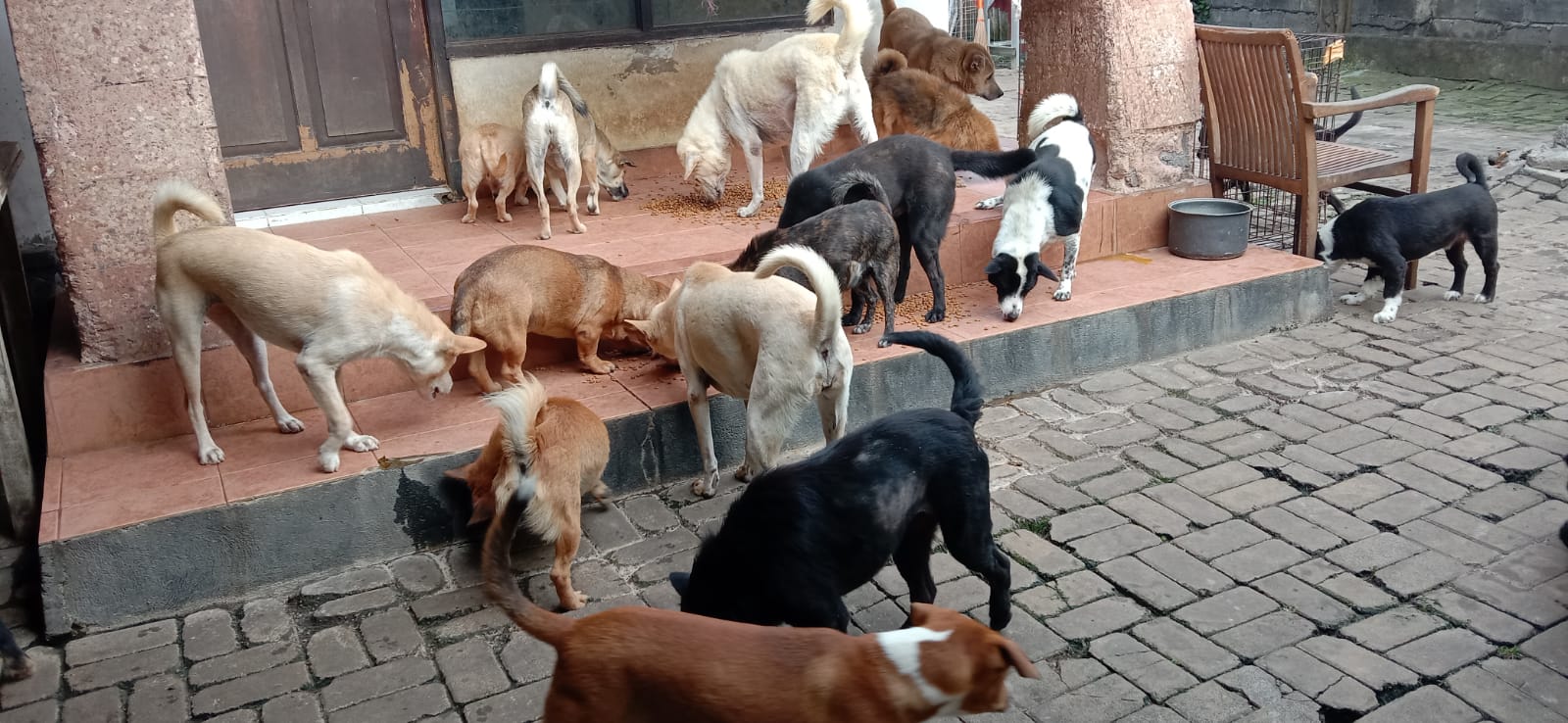 benihbaik_2022-01-12_f7fd95e01ecfbd79c0cd670f72c0d1a5eb3f4b63_jpeg