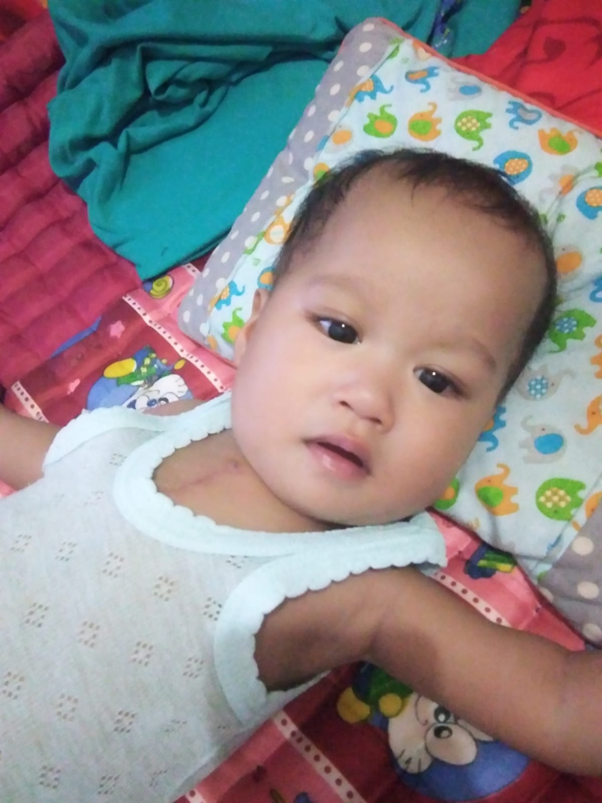 benihbaik_2022-01-17_71d060b2fd809a9dcd99ffae41b5497a35962f3b_jpeg