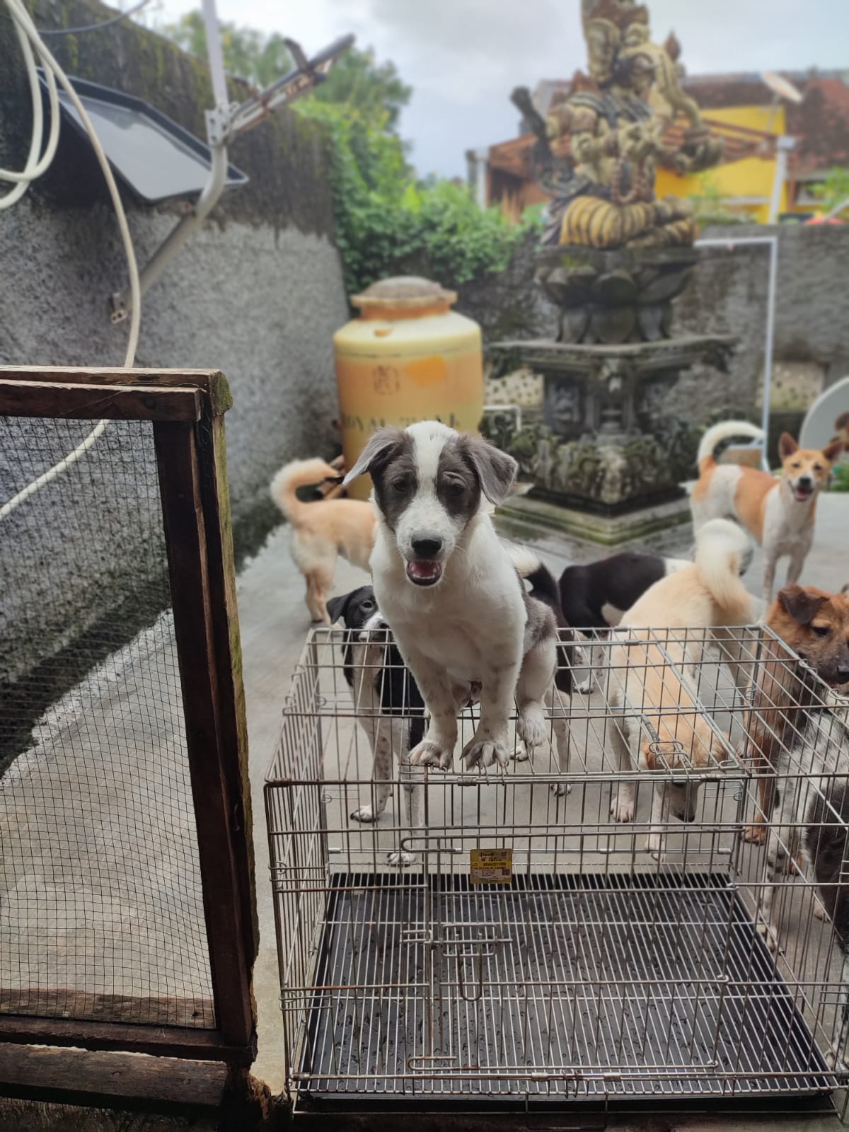 benihbaik_2022-01-18_025f27ad2de836dcd1530bec4d91538328fcc4c8_jpeg