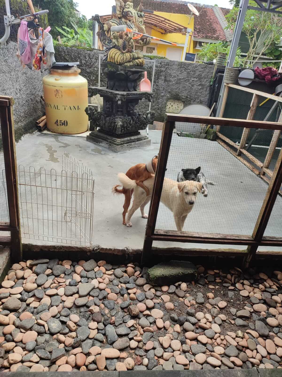 benihbaik_2022-01-18_067a20479ea53797478c2d31a5b37c5b62afb547_jpeg