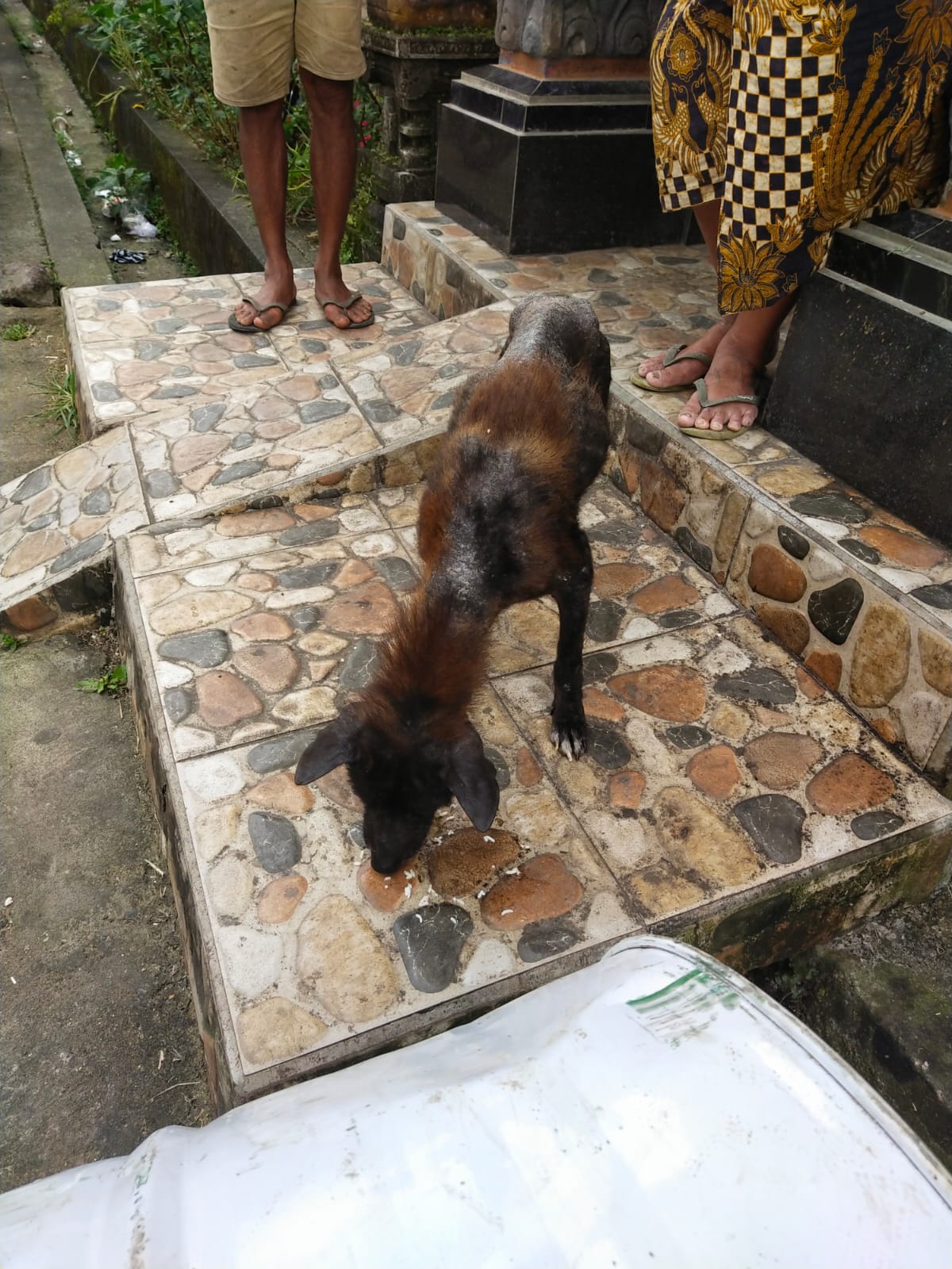 benihbaik_2022-01-27_09985445a200ccb20f75119c9aa1d4f924b4191f_jpeg