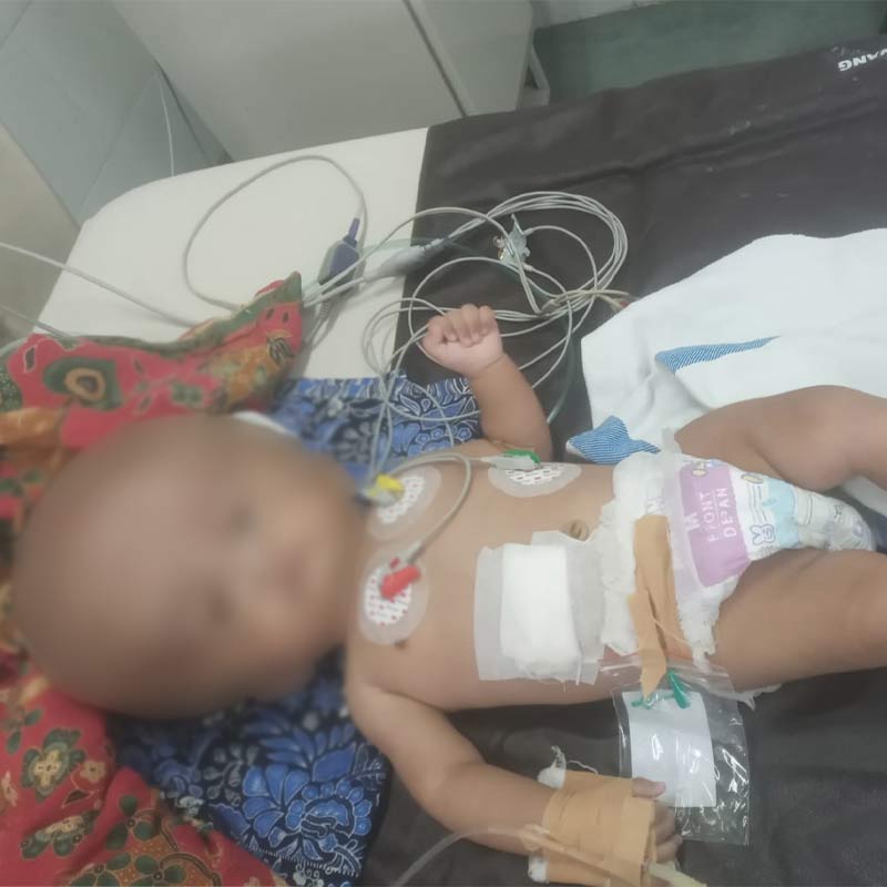 benihbaik_2022-02-02_16a9239bb7d5304307d7d5f55b4ddd9dd9aeab1c_jpeg