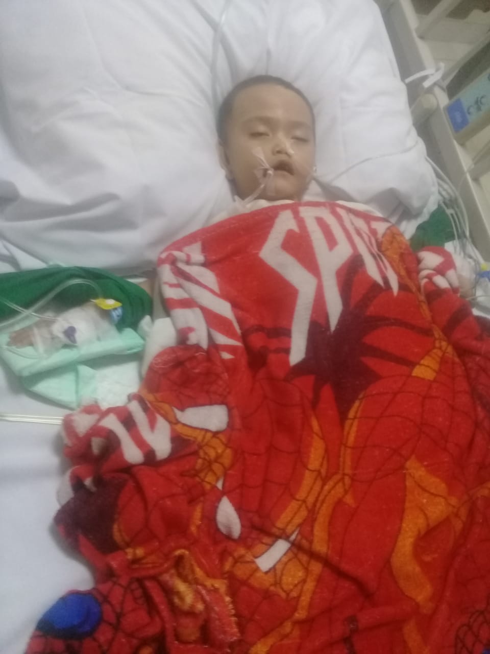 benihbaik_2022-02-03_87ee6bcc20f49adade9cd5d0211e387d6fbd127f_jpeg