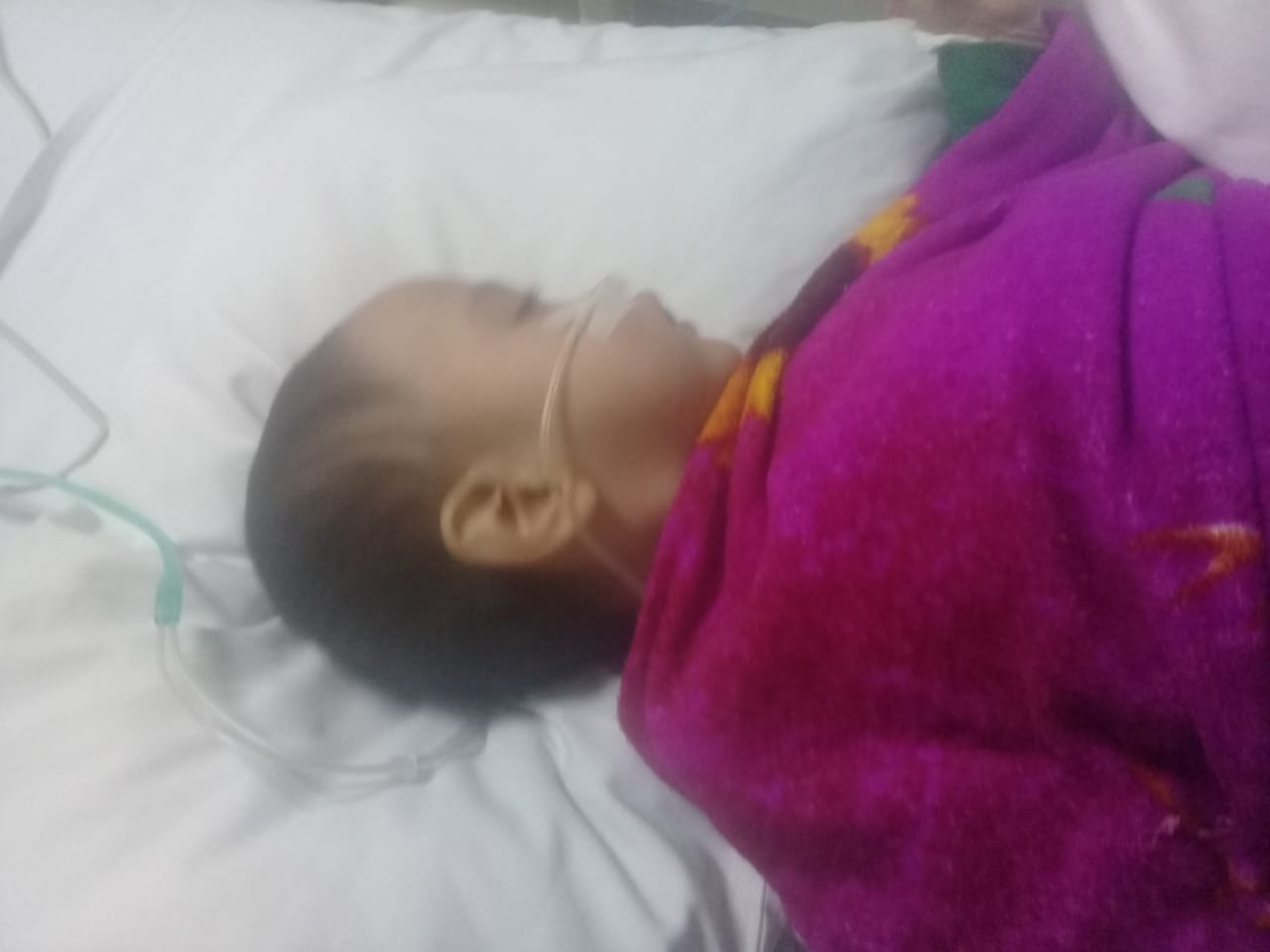 benihbaik_2022-02-03_a1160509909ebaea8513e3efde9a18c6b3963e98_jpeg