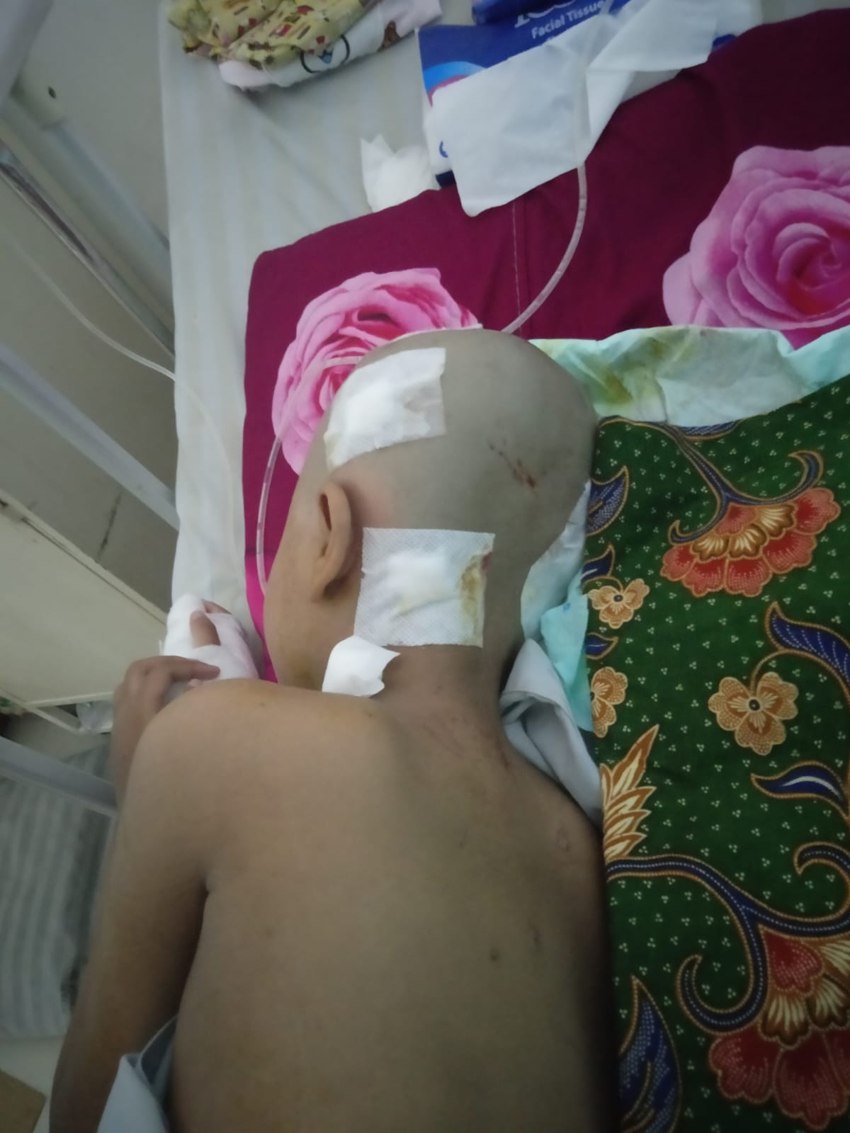 benihbaik_2022-02-04_0285d41049211157797c381db0bfa6a17e8ee0b5_jpeg