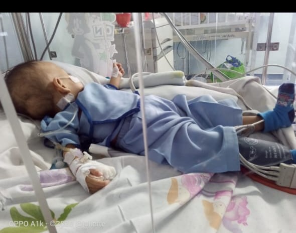 benihbaik_2022-02-04_244bf1ddb0fa1d2fe96ce545e322132cf323b882_jpeg