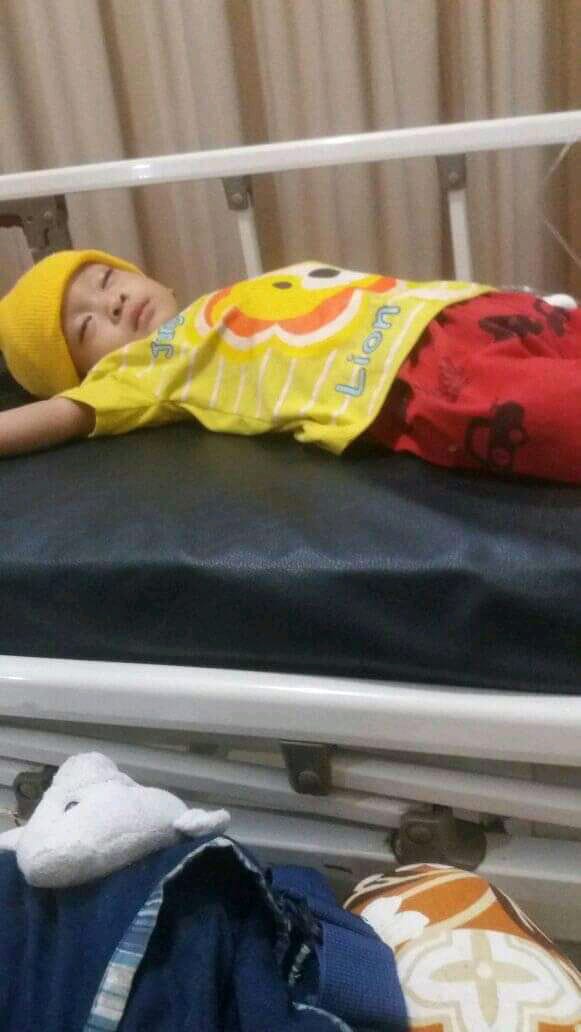 benihbaik_2022-02-08_7163344c8403993da43243ca7b6a3f2c9121f406_jpeg