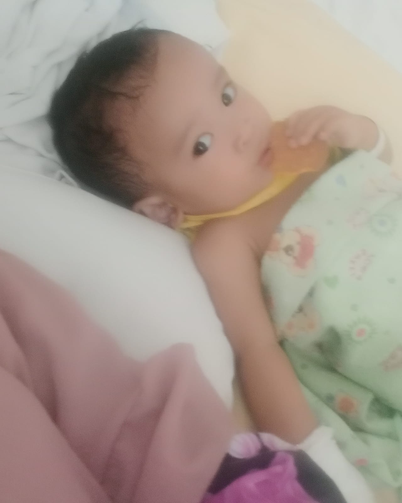 benihbaik_2022-02-08_86d6e12967a2bcc8bb6c400aebf6c14df8537f11_jpeg