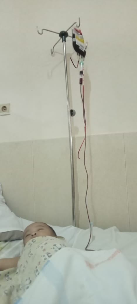 benihbaik_2022-02-08_f47dbfd4faa0a0a449ec47ba2928bcf9e0168384_jpeg