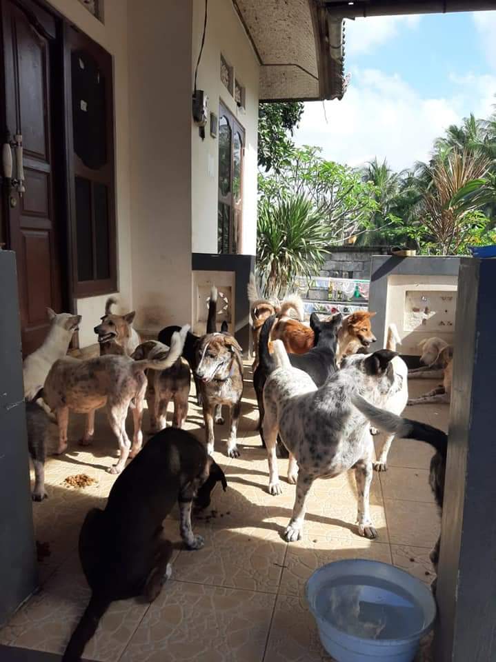 benihbaik_2022-02-10_245d33346a32c21862f9e5d51b8a6e9a03149ed3_jpeg