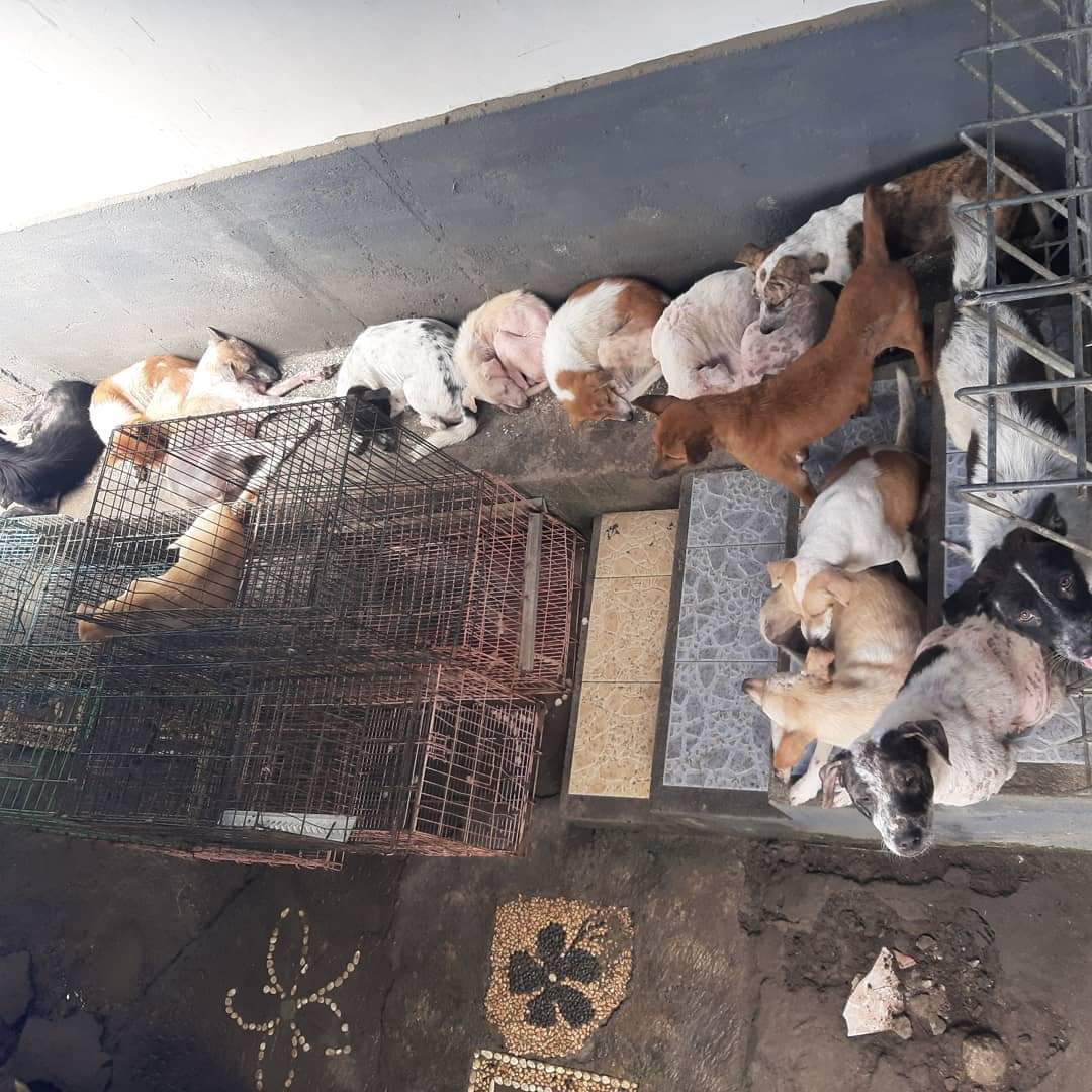 benihbaik_2022-02-10_4700c82e8327f06fbe16a3934e7c9de81754e67a_jpeg