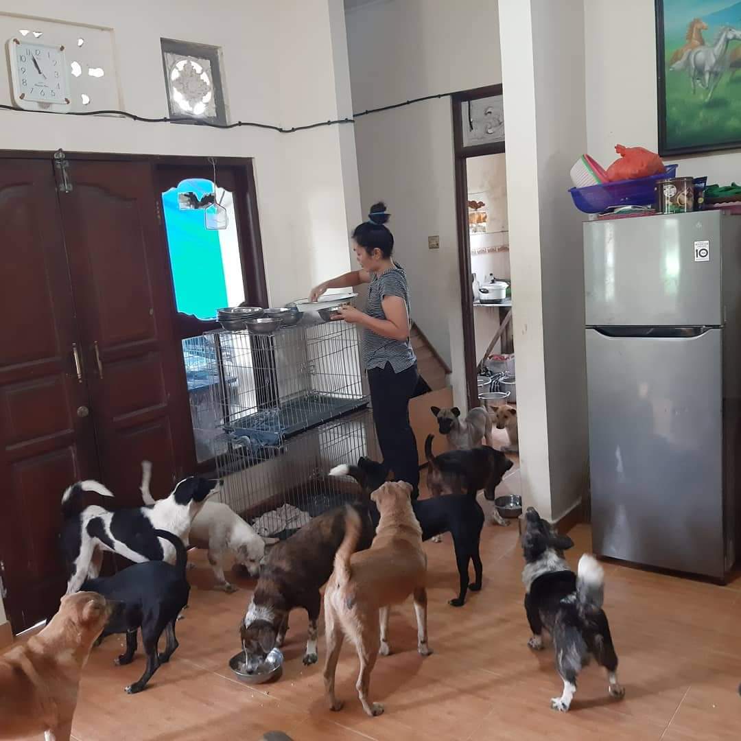 benihbaik_2022-02-10_75d7b128634cf46c6c5d89f6410c45f00c2505d7_jpeg