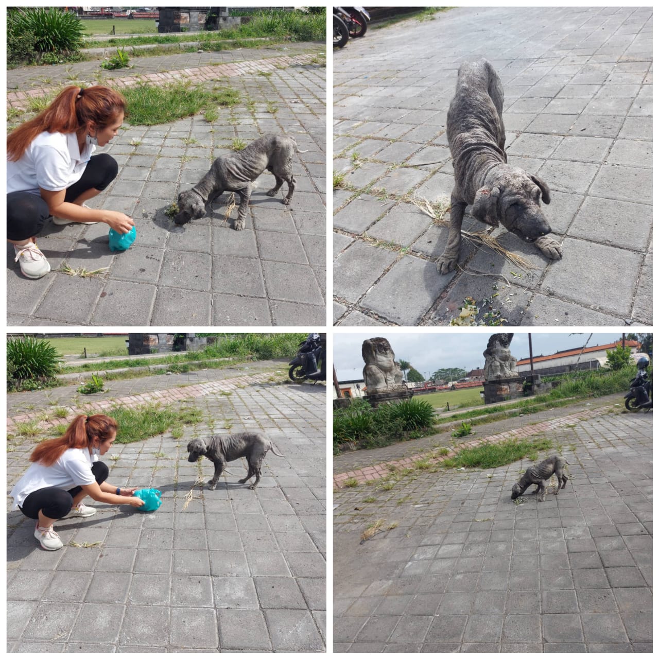 benihbaik_2022-02-10_a67f2717b5acadaad9452157908b451b12ecfcb2_jpeg