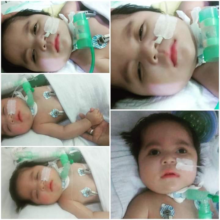 benihbaik_2022-02-11_7ebb0fe487617de1c773bb42f7d81f3ae92e2265_jpeg