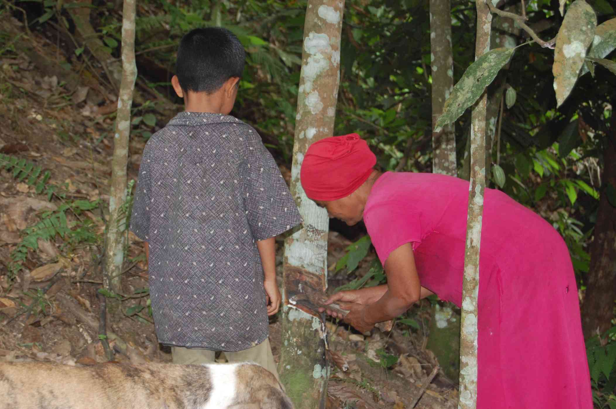 benihbaik_2022-02-17_f7d87288c36e5347ddceb9a2e84ec8c508937d1e_jpeg