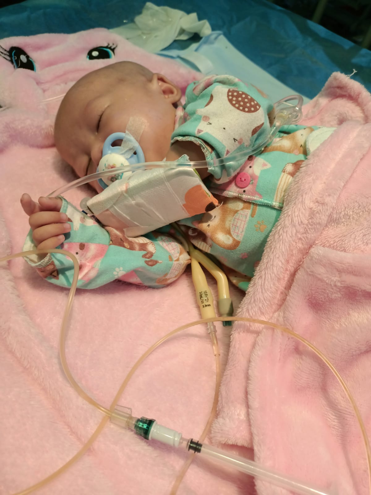 benihbaik_2022-02-18_324ac50a3dbe5eb8b7fedb58252c63a6e3f7132a_jpeg