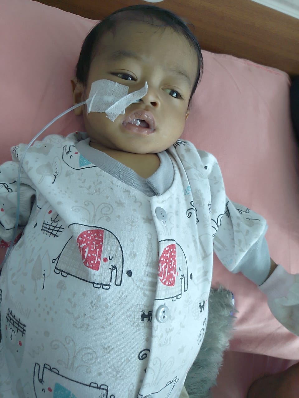 benihbaik_2022-02-18_5ba40d81a922f42b437638519f1faec73f5b1771_jpeg