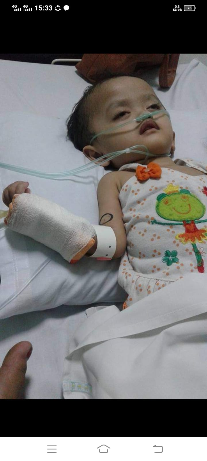 benihbaik_2022-02-18_7fa354535c7022fd474e2fbd42194d6f1b549cdf_jpeg