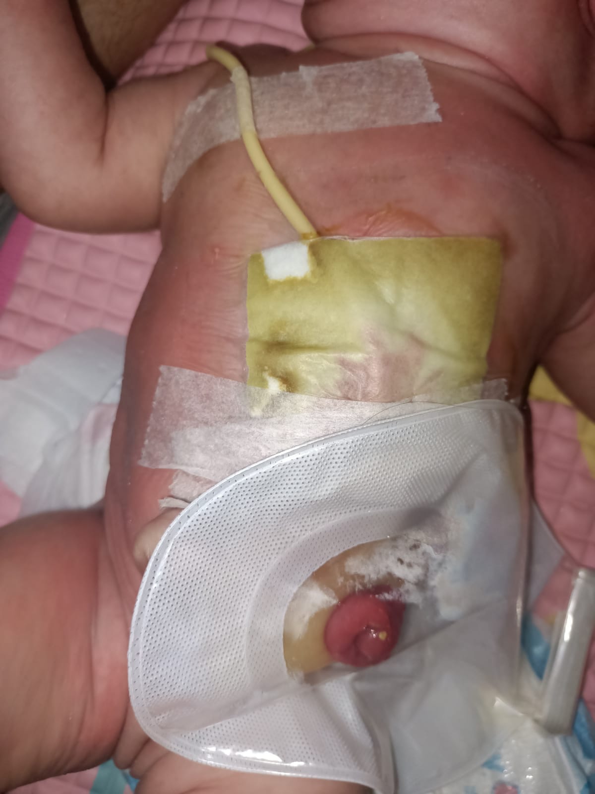 benihbaik_2022-02-18_89c9d8a9df99ba22b966cd52a99fd24861d9480f_jpeg