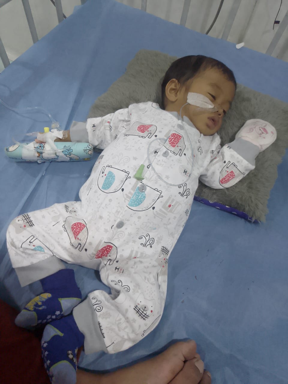 benihbaik_2022-02-18_c01fc7cdc0bf3777b57a1eb6cc36ad21f2774324_jpeg